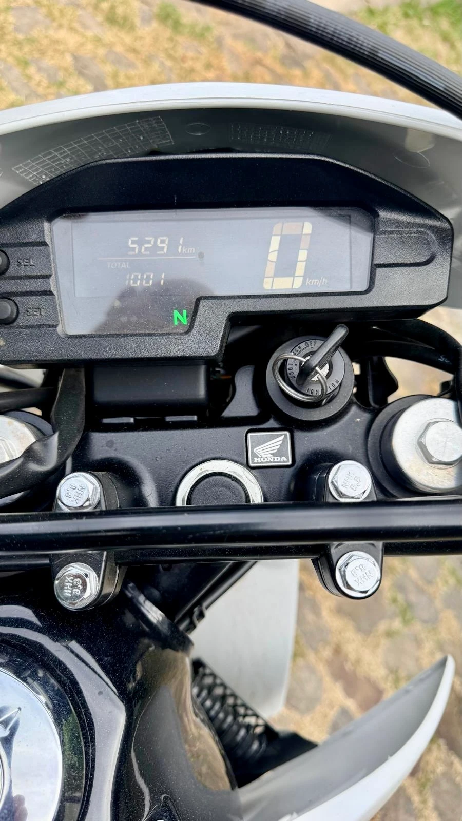 Honda XR 250 TORNADO XR250 2022 - imagen 7