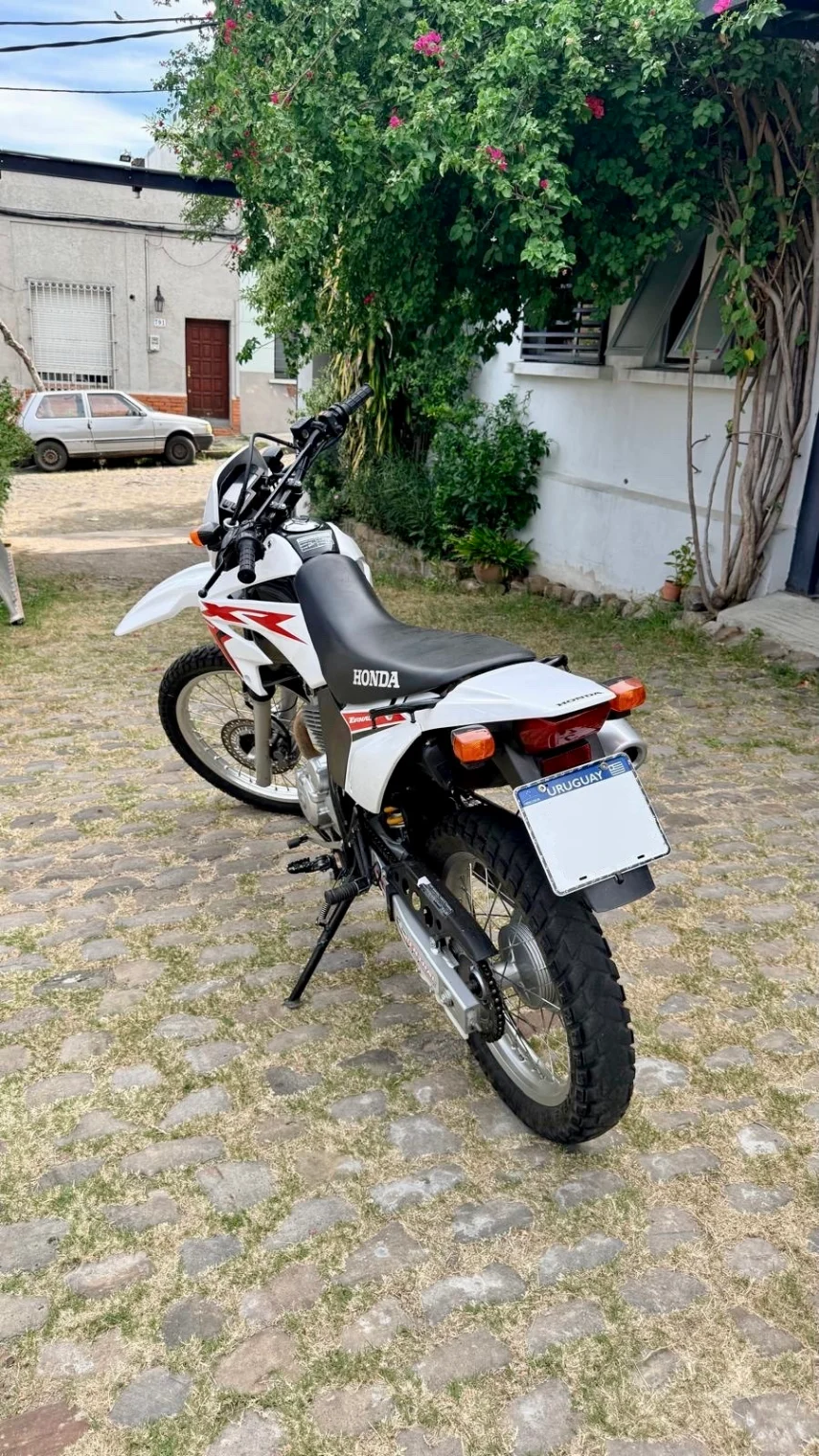 Honda XR 250 TORNADO XR250 2022 - imagen 4
