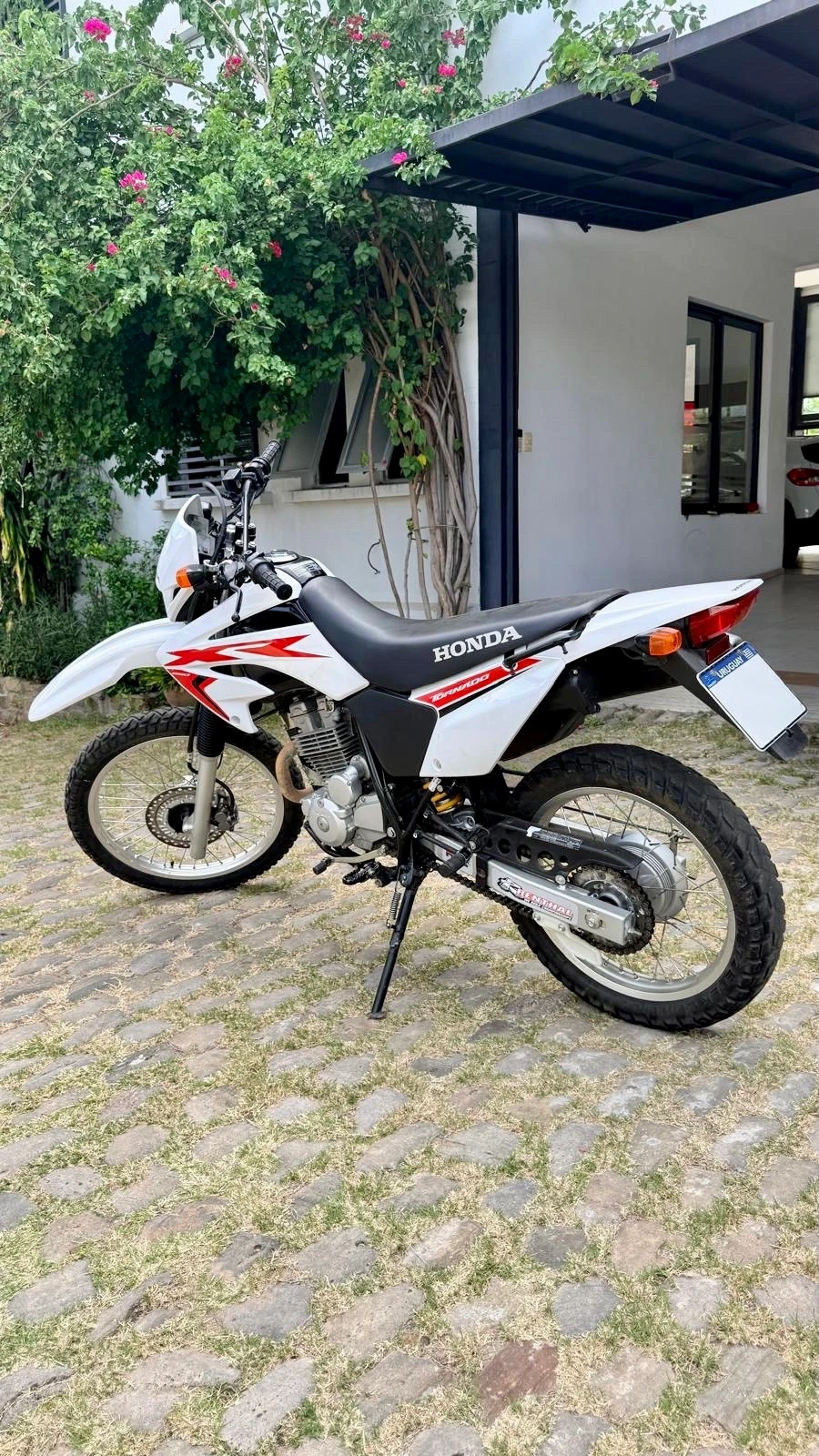 Honda XR 250 TORNADO XR250 2022 - imagen 5