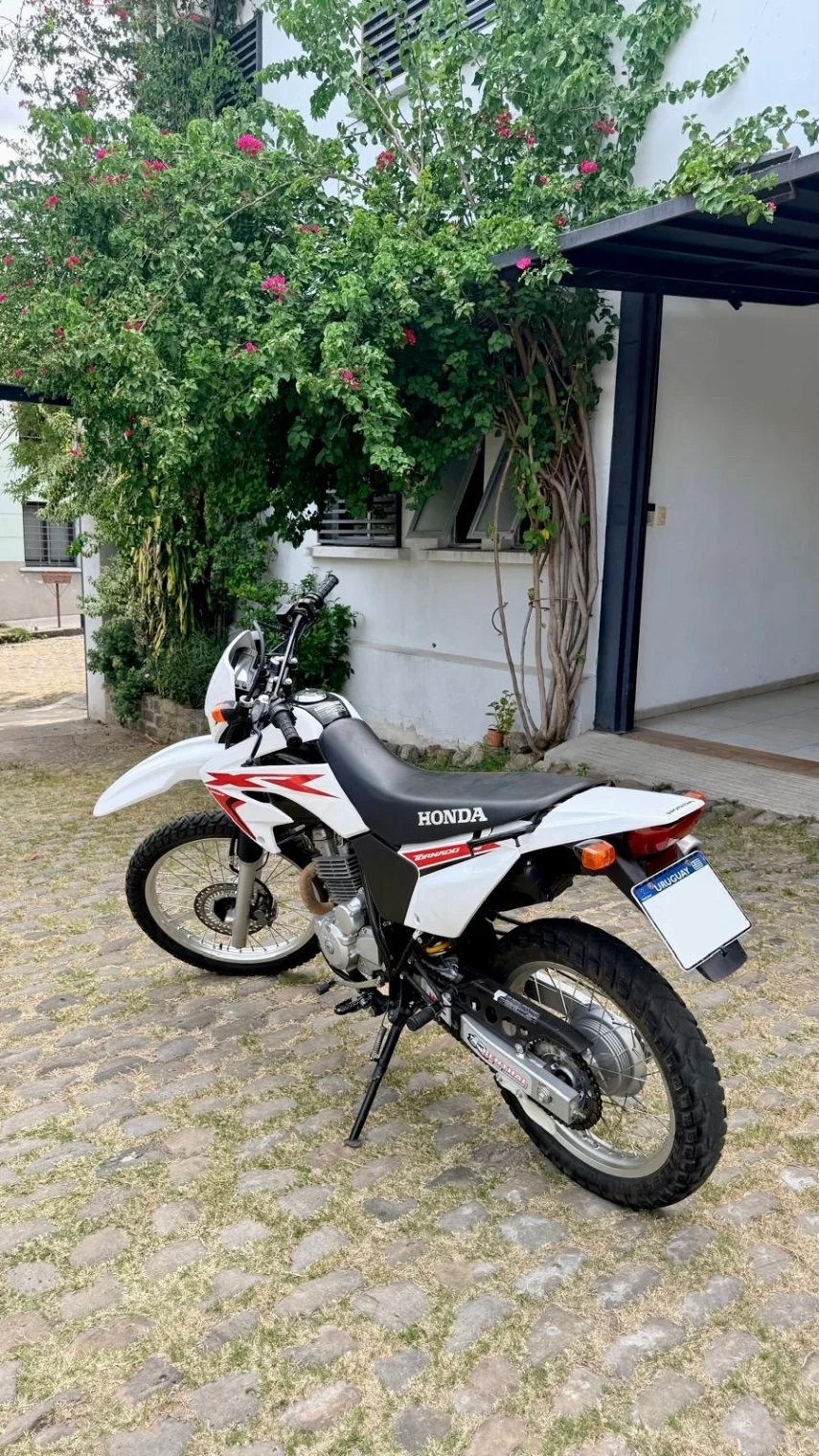 Honda XR 250 TORNADO XR250 2022 - imagen 6
